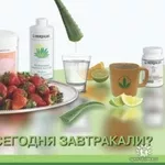 Худеем вместе с продуктами Гербалайф.