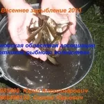 Весеннее зарыбление водоемов 2013