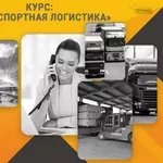Курс «Транспортная логистика»: станьте востребованным специалистом уже