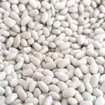 Квасоля на продаж. 20 видів сортової квасолі