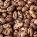 Сортова квасоля оптом. Доставка по Україні