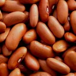 Квасоля на продаж. В асортименті
