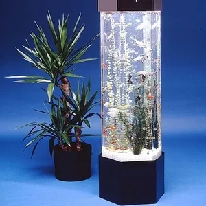  Куплю аквариум б/у желательно высокий и узкий. 