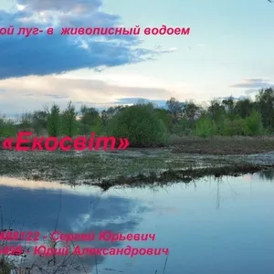 Заливной луг- в живописный водоем