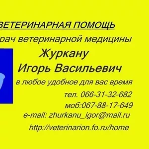 Ветеринарная помощь, Круглосуточно