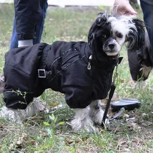 Одежда для собак Индивидуальный пошив