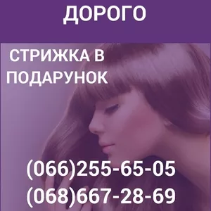Скупка волос в Харькове Продать волосы в Харькове Куплю волосы дорого