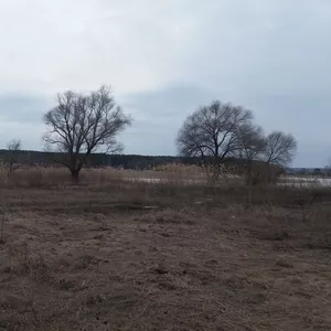 Продам земельные участки на берегу печенежского водохранилища 