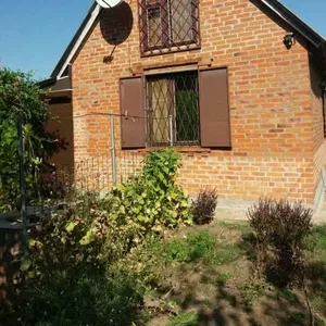 Продам дачу в Ледном (Бавария) 70 м. дом