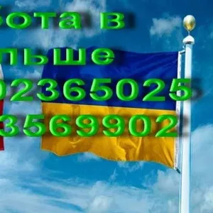 Виза,  Работа,  Страховки в Польшу.