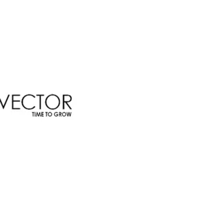 seo-vector