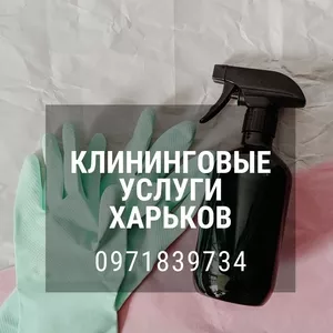 Генеральная уборка квартиры Харьков. Регулярная уборка помещений в Хар