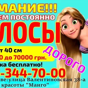 Куплю волосы дорого Харьков Продать волосы в Харькове