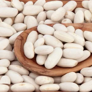 Квасоля різних сортів в наявності