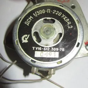 Двигатель ДСМ-1/300-П-220 УХЛ4.2,  электродвигатель ДСМ-1-300-П-220