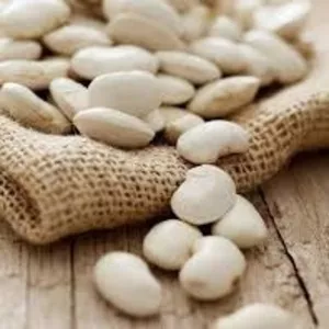 Посівний матеріал квасолі та гарантія стабільного збуту!