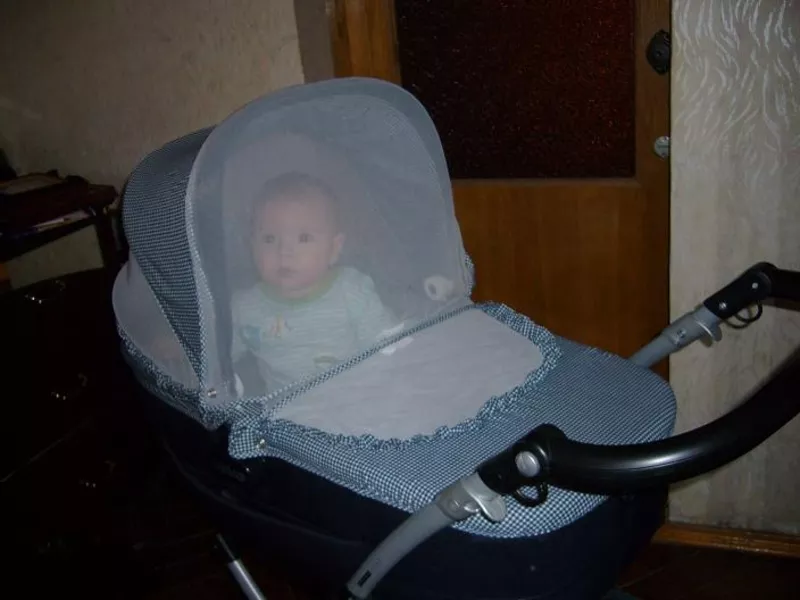 Продам коляску Peg Perego Culla цвет Zafirro (синяя) 2010 года  5