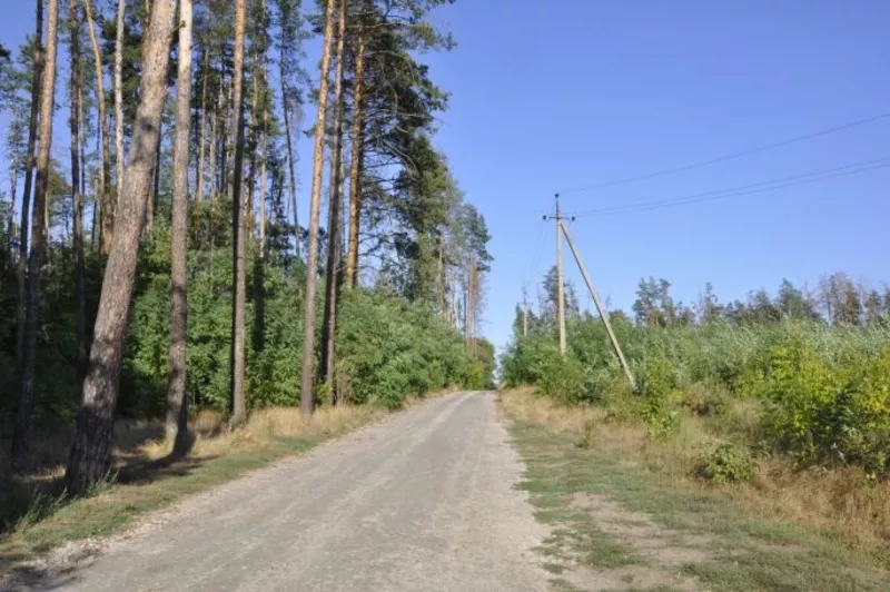 Загородный клуб 'Сосновый Берег'