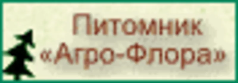 Питомник «Агро-Флора» г.Харьков.