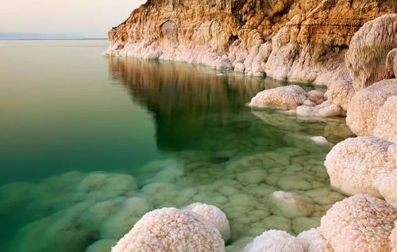 Ein Gedi,  Натуральная косметика,  крем,  гель для душа,  лосьон,  шампунь, 