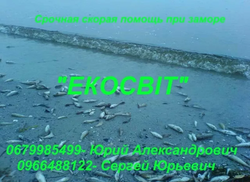 Известь для прудов