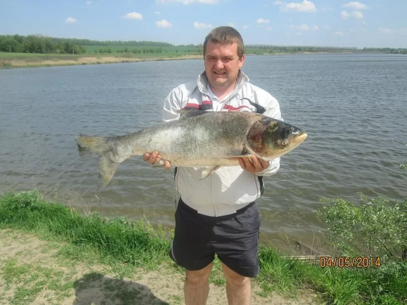 Рыбалка,  Харьковская Область,  Валки,  Коломакский район 27