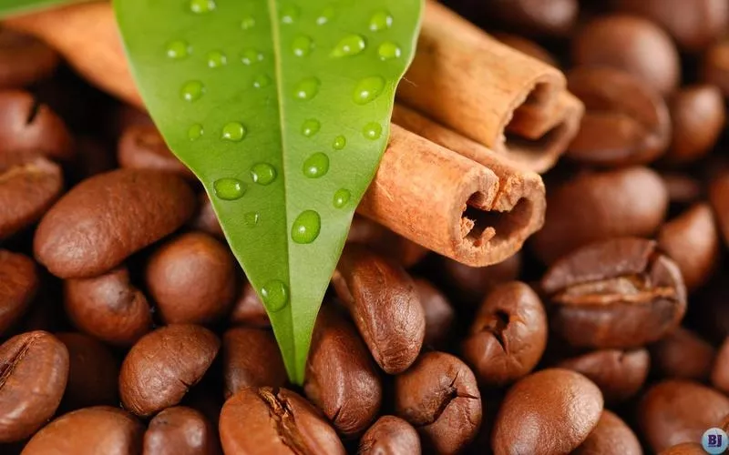 Кофе натуральный свежеобжаренный в зернах