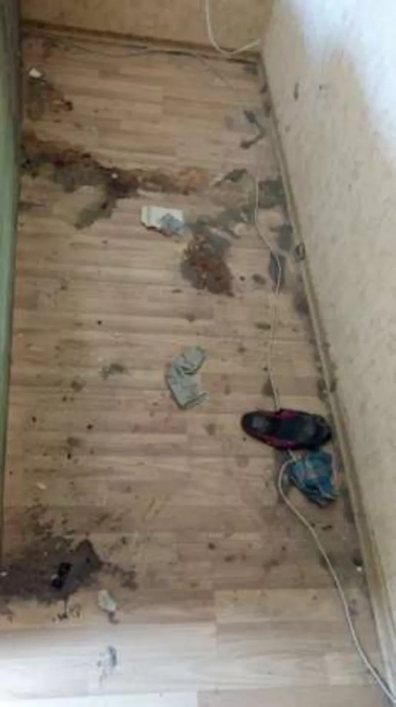 Генеральная и после новогодняя уборка. Все виды уборки. 4