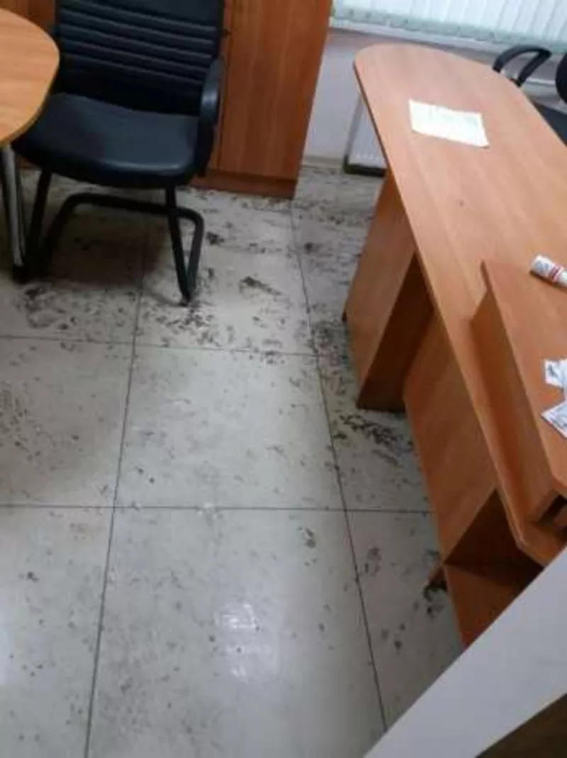 Генеральная и после новогодняя уборка. Все виды уборки. 6
