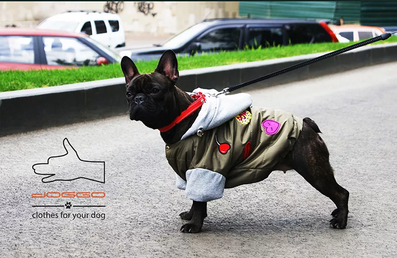 Одежда для собак французский бульдог и крупных пород – ТМ DOGGO 3