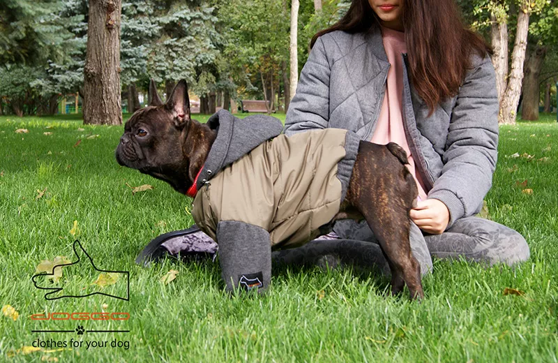 Одежда для собак французский бульдог и крупных пород – ТМ DOGGO 4