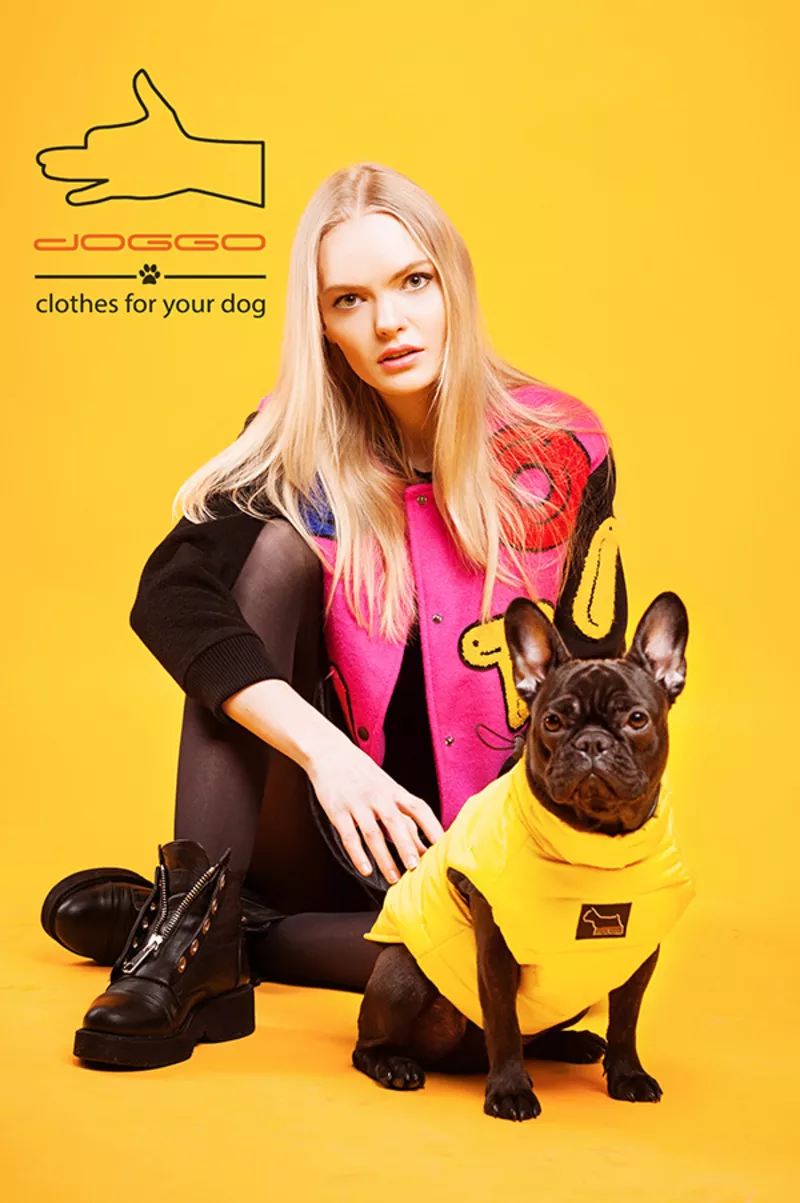 Одежда для собак французский бульдог и крупных пород – ТМ DOGGO 5