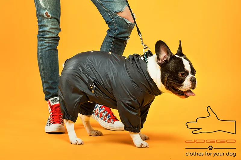 Одежда для собак французский бульдог и крупных пород – ТМ DOGGO 15