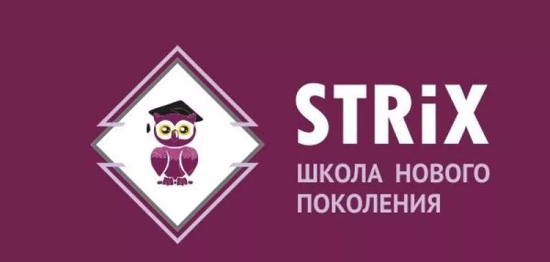 Школа финансового образования Strix (занятия с профессионалами своего  3