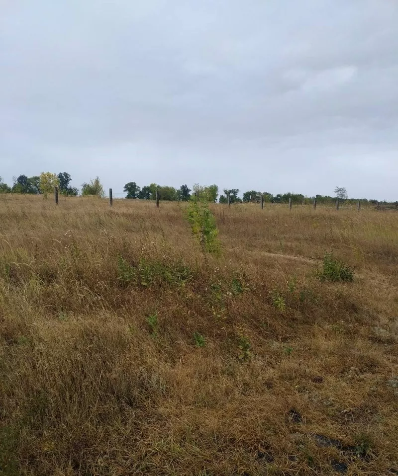 Продам отличный участок в городе - общ. садов. 