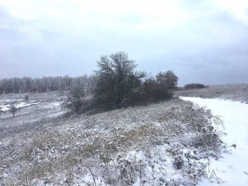 Участок в Харькове,  собственность. 