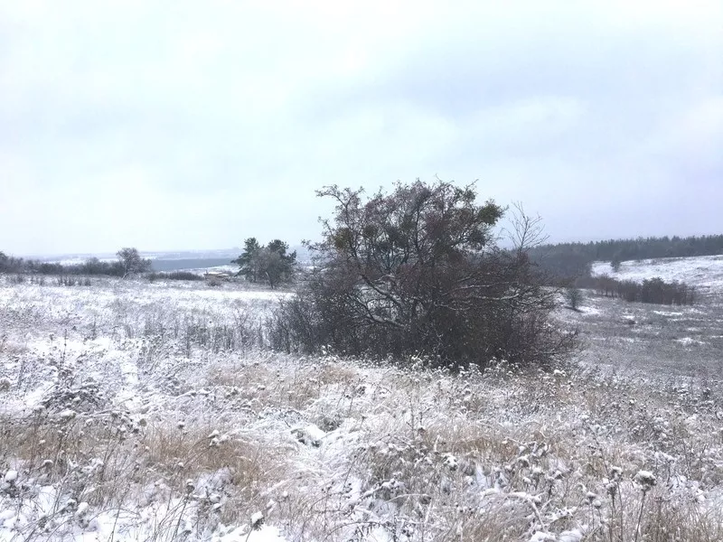 Участок в Харькове,  собственность.  3